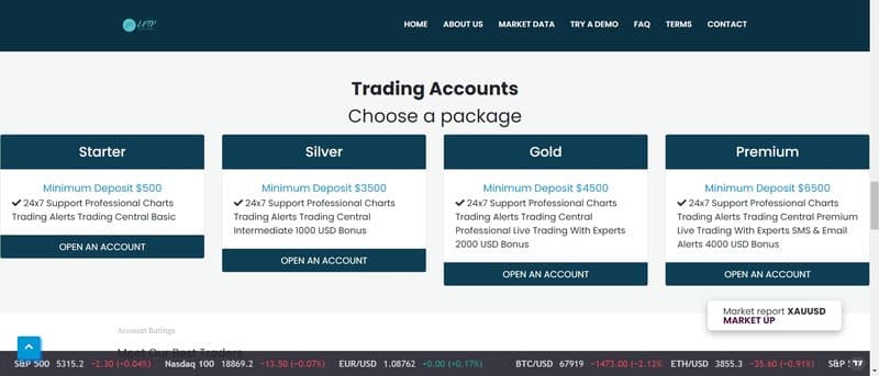 Expertstockpor的账户类型