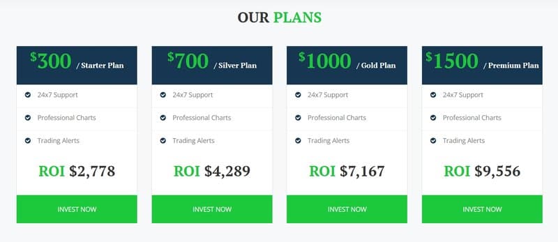 Fxzonetrade的账户类型