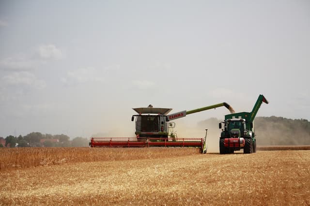 Grain futures volatile as funds shift and supply-demand shape outlooks.