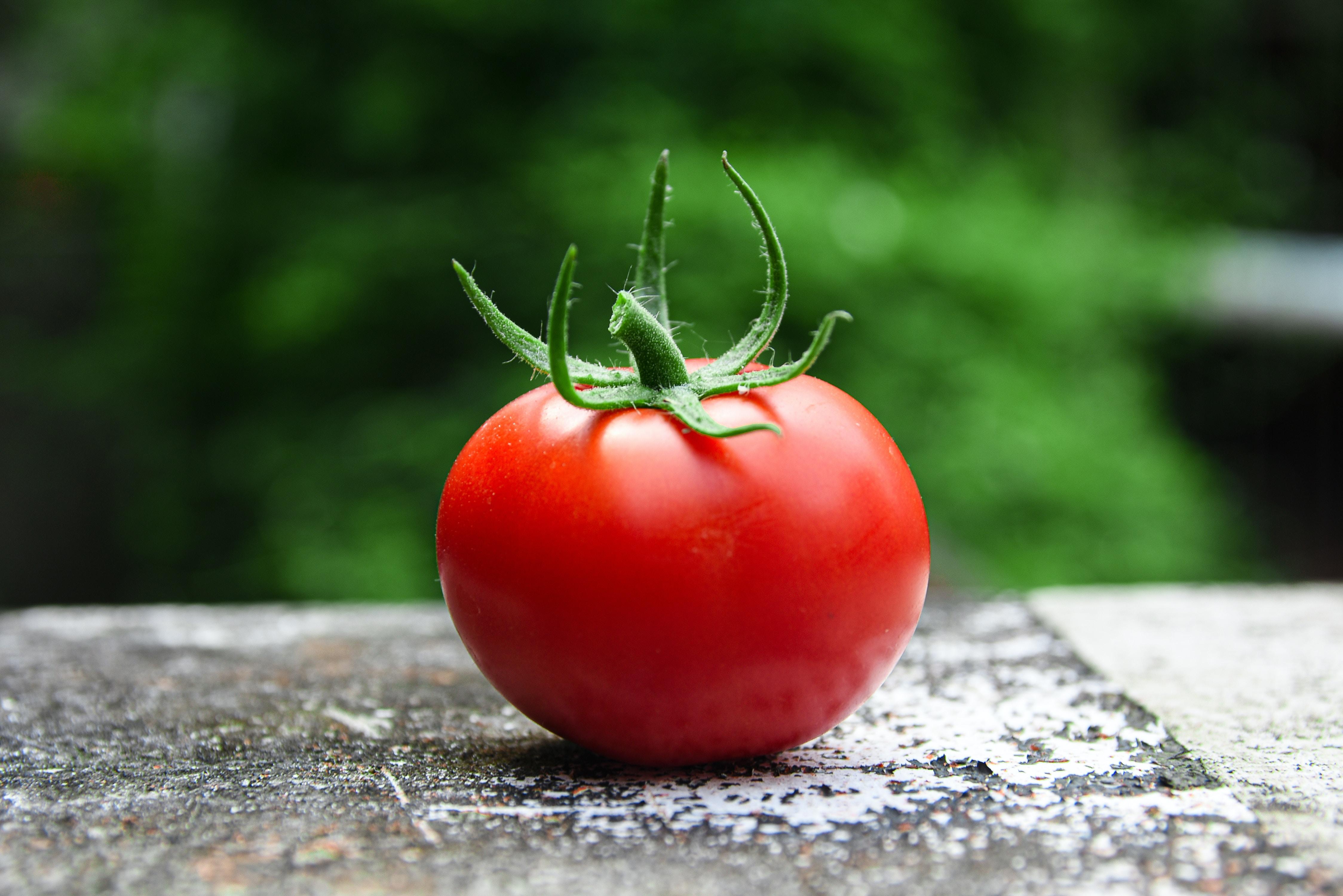 Food prices soar, forcing the Indian government to improve food supply