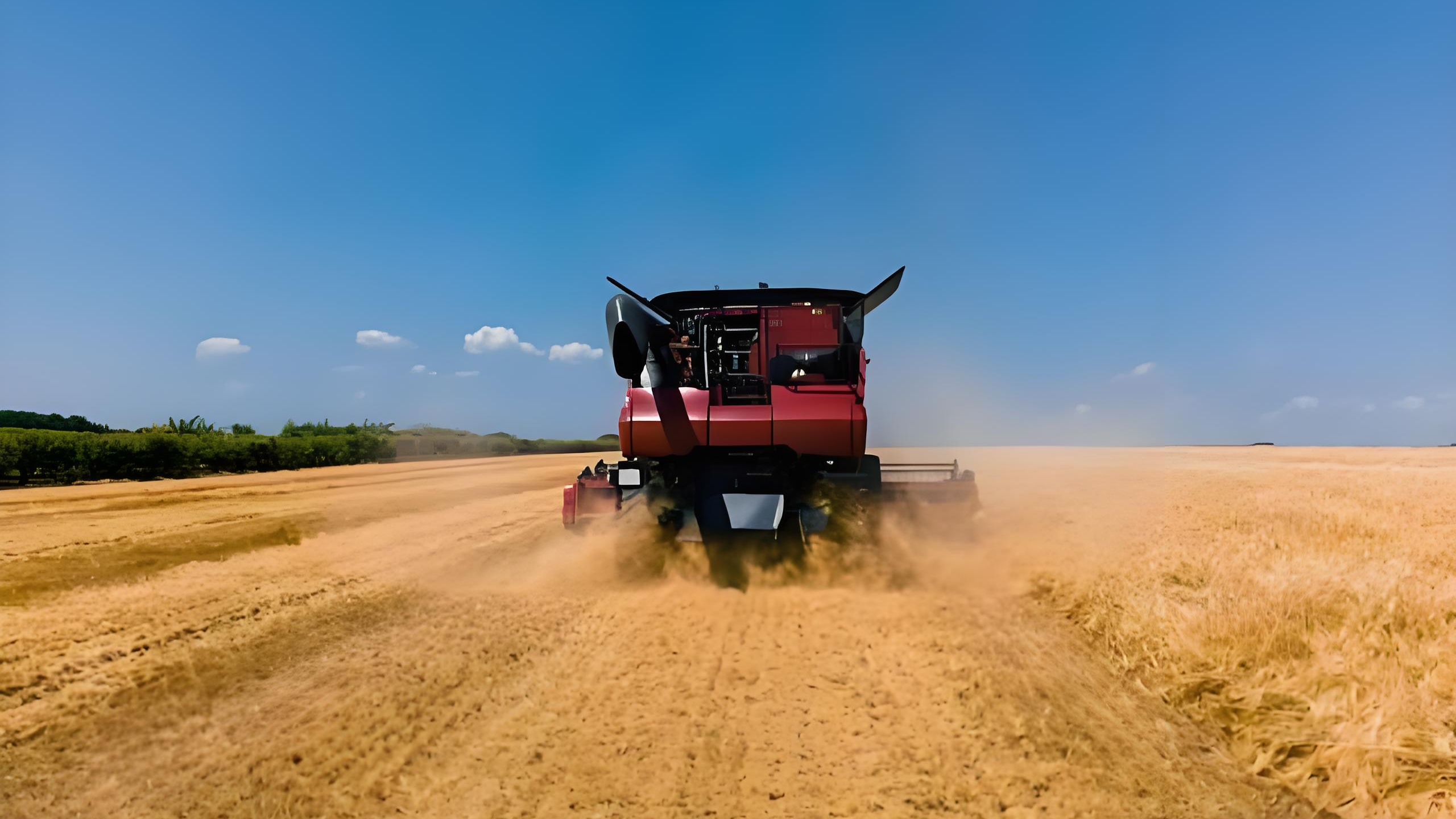 Russia-Ukraine tensions raise supply concerns, hinting at price shifts for wheat, corn, soybeans.