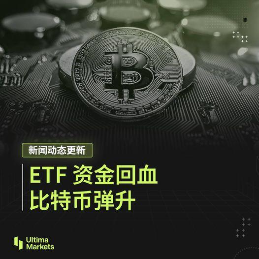 UM 最新市场消息更新！