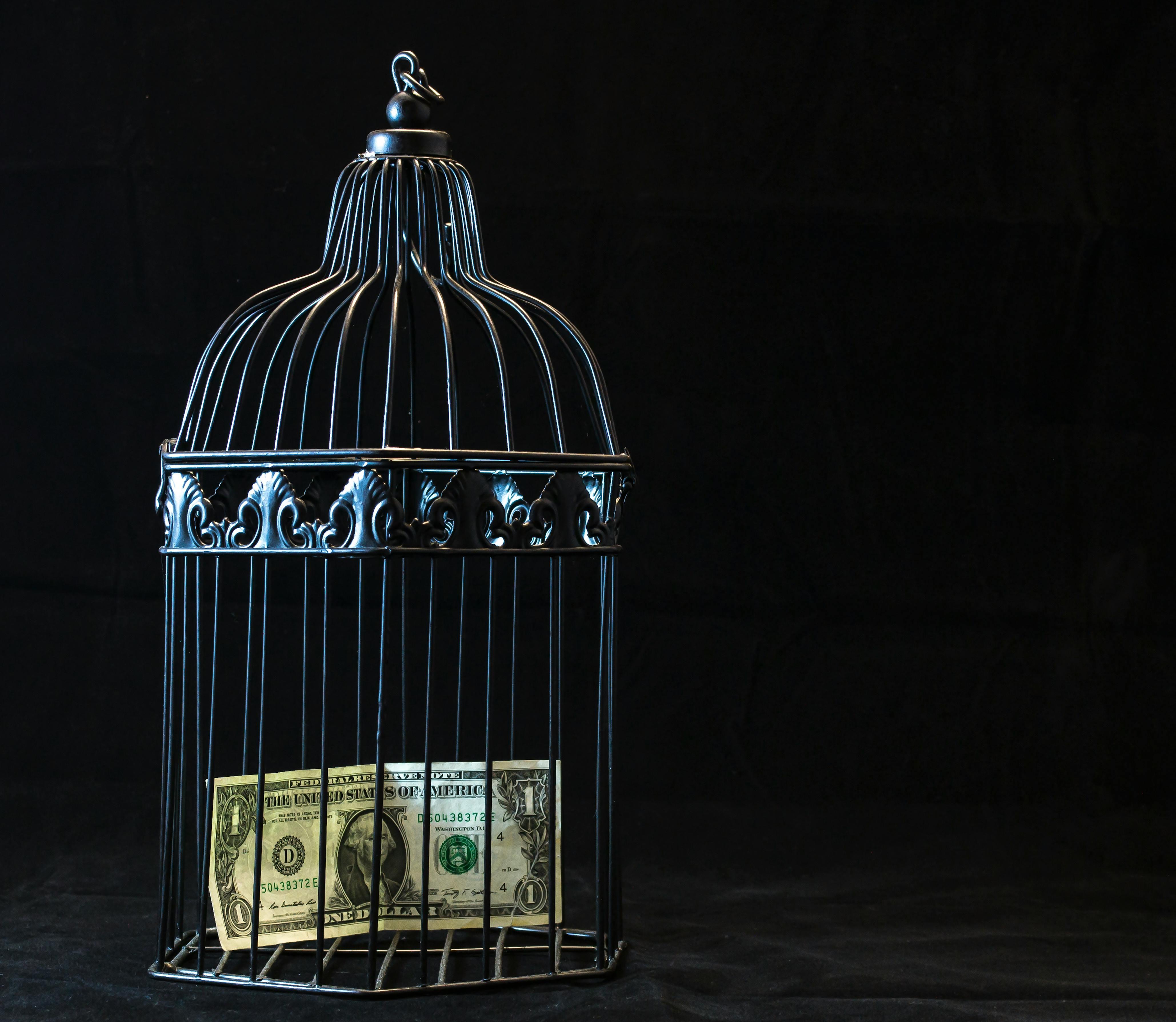 Two rate cuts this year? BlackRock CIO optimistic on easing inflation.