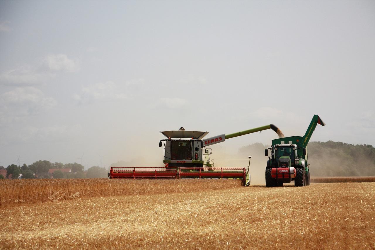 Grain futures volatile as funds shift and supply-demand shape outlooks.