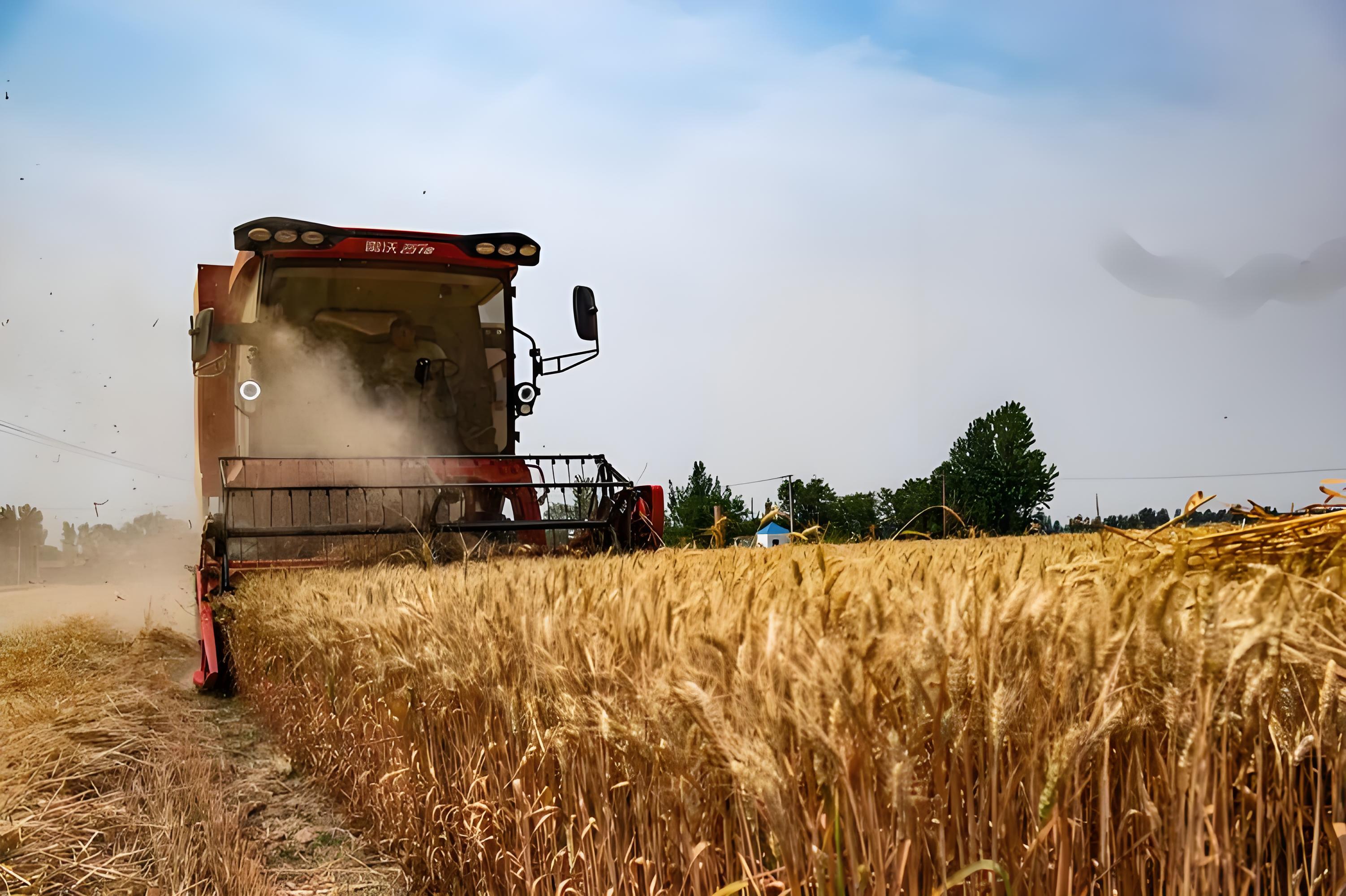 Wheat remains weak, while soybeans show strength amid rising CBOT grain futures volatility.