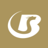 Bovei Financial Limited