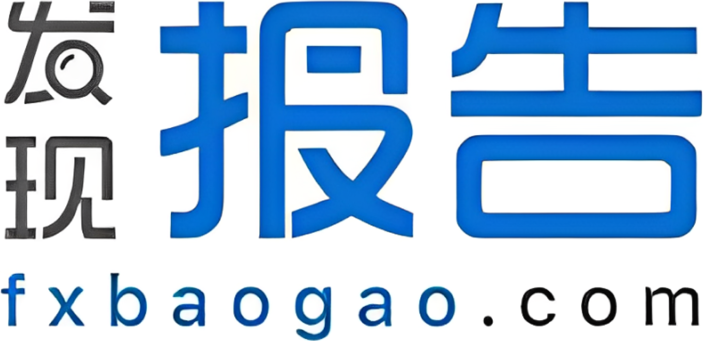 发现报告