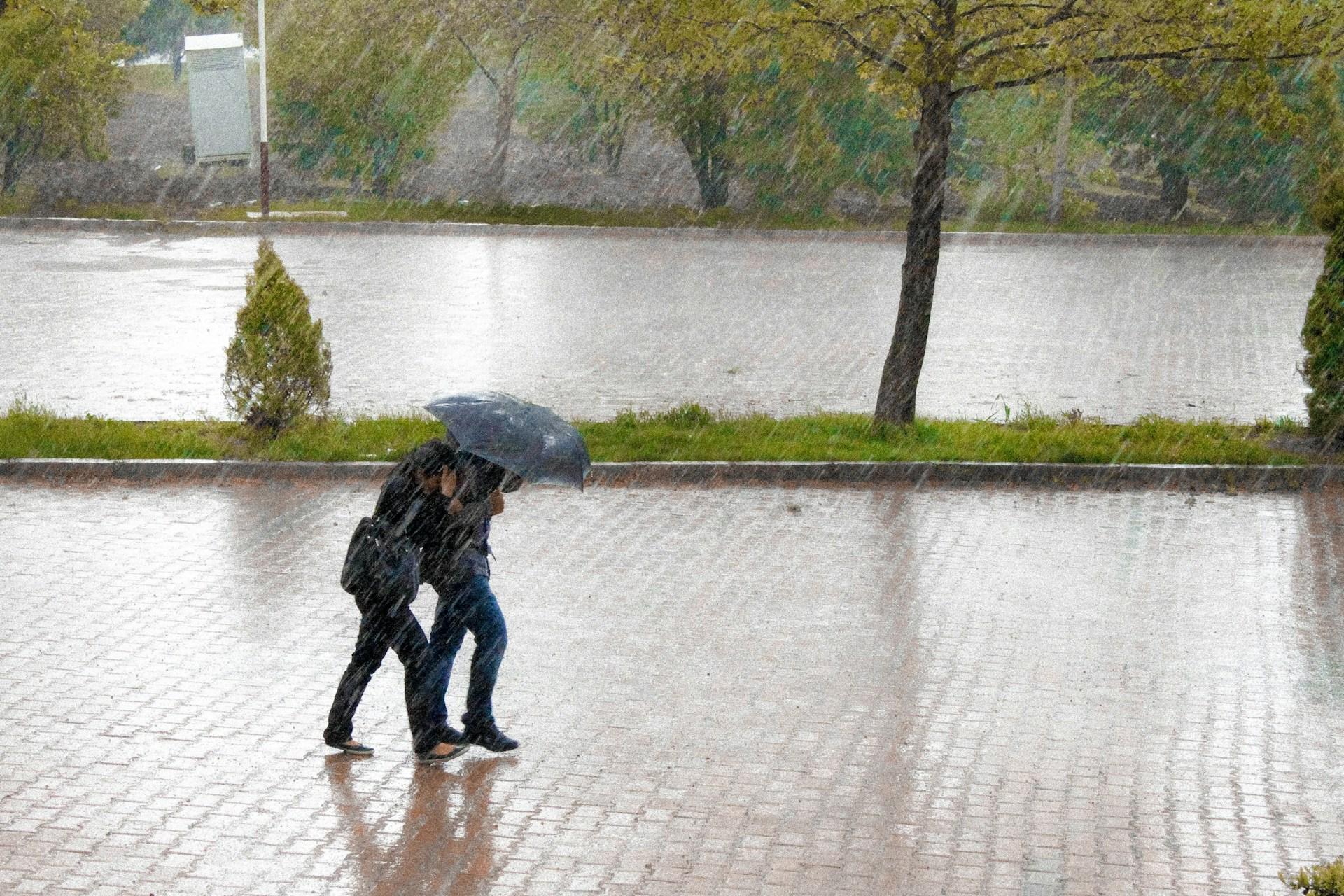 风雨无阻!香港宣布在暴雨台风天气下也不会暂停交易